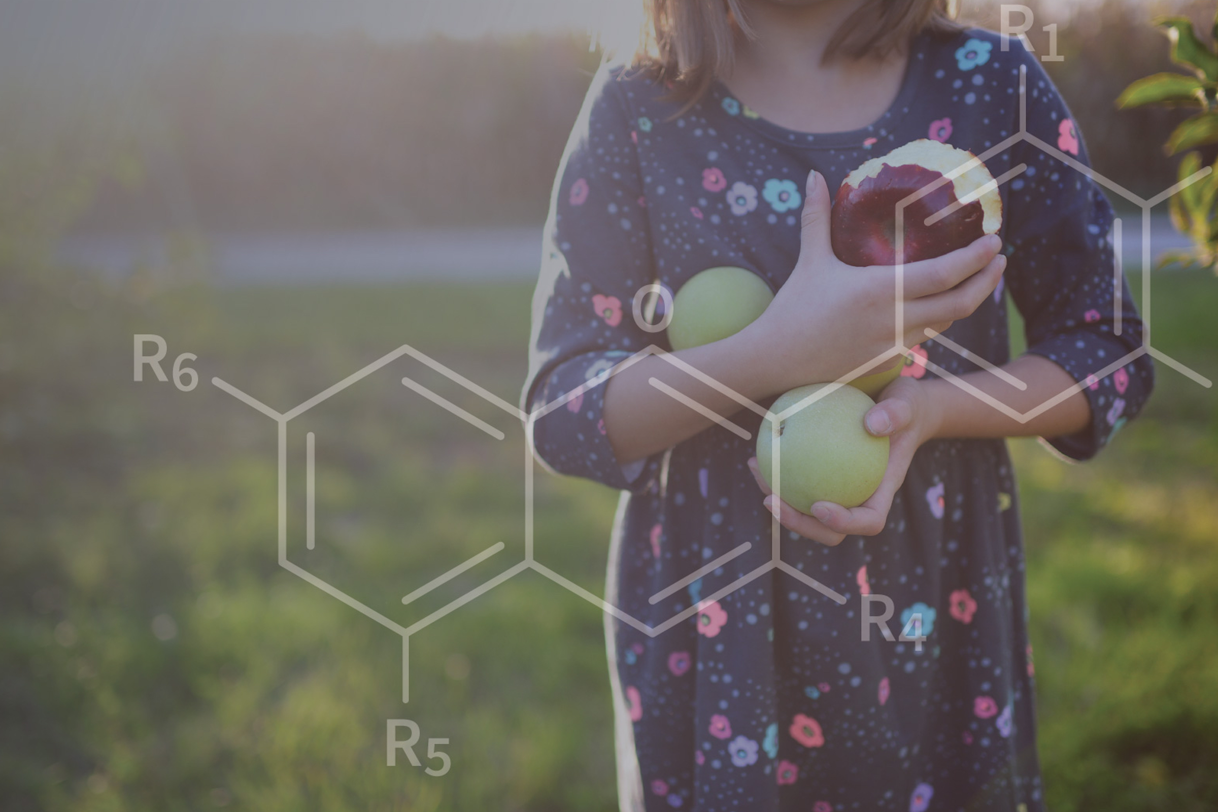 Girl holding apples in field with overlaid image of chemical compound